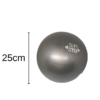Inflated Grey Slim Gym Anti Burst Barre Ball