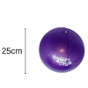 Inflated Purple Slim Gym Anti Burst Barre Ball