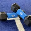 Enhance Your Workout with Blue Fat Grips on Dumbbells